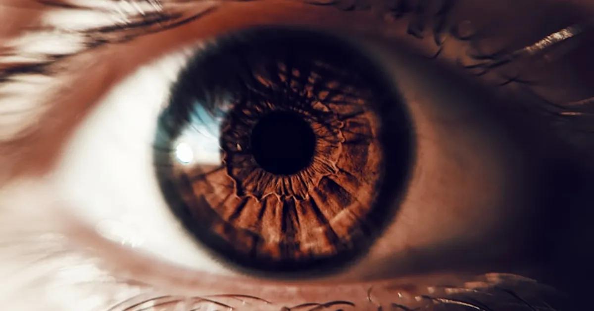 Cuidados de Cejas Laminadas: Rutina de Mantenimiento Completa de 30 Días y Más Allá