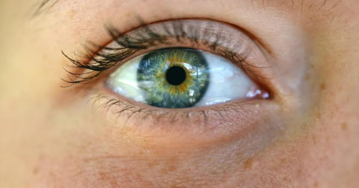 Cuidados Después de Lifting de Pestañas con Tinte: Guía Completa de Aftercare