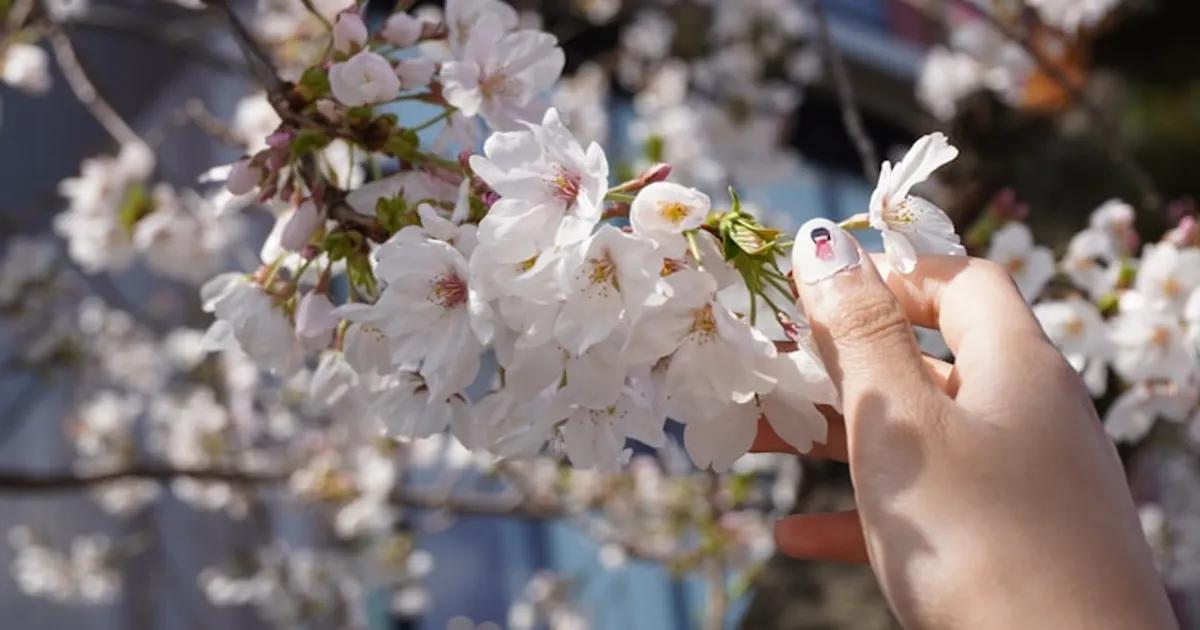 OPI vs Gel: Qué Esmaltado Encaja con Tu Estilo de Vida