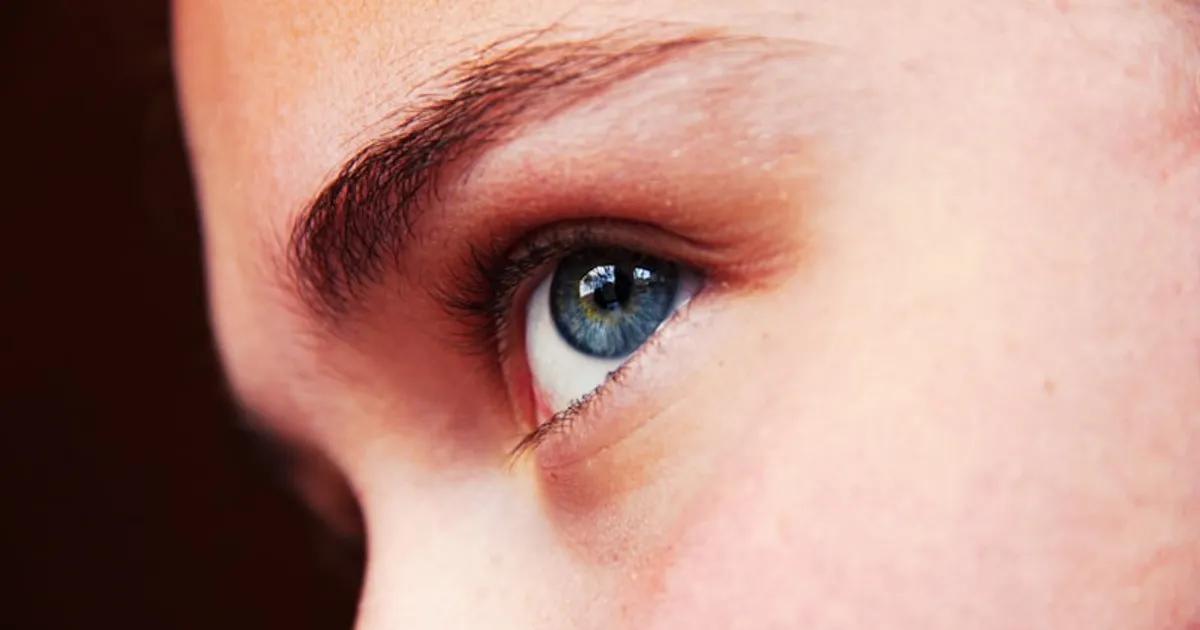 Tinte de Cejas con Henna: Qué Es, Duración y Diferencias con Tinte Químico